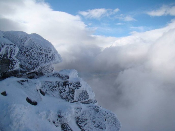 У горах Закарпаття – до 35 сантиметрів снігу, а на низовині зацвів бузок – 04