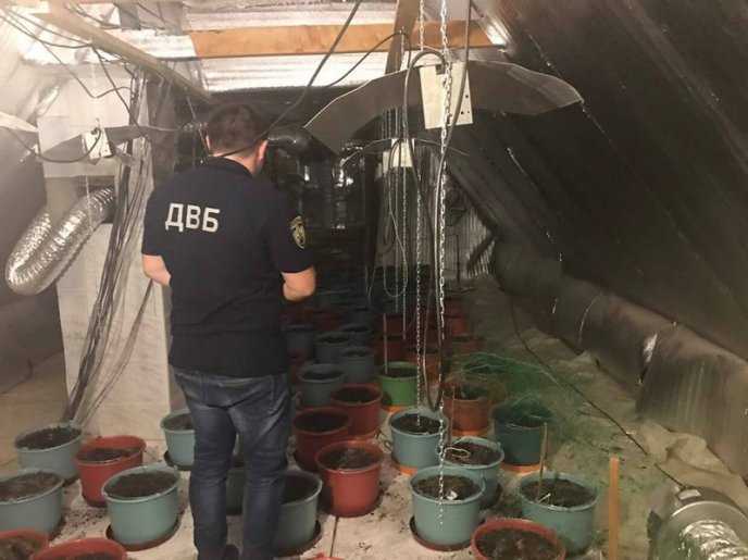 Обшуки у Виноградівському відділенні поліції тривають. Затримано правоохоронця, який "прикривав" наркобізнес – 01 Обшуки у Виноградівському відділенні поліції тривають. Затримано правоохоронця, який "прикривав" наркобізнес – 01