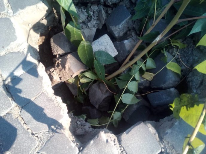 У центрі Мукачева на дорозі утворилось провалля – 03