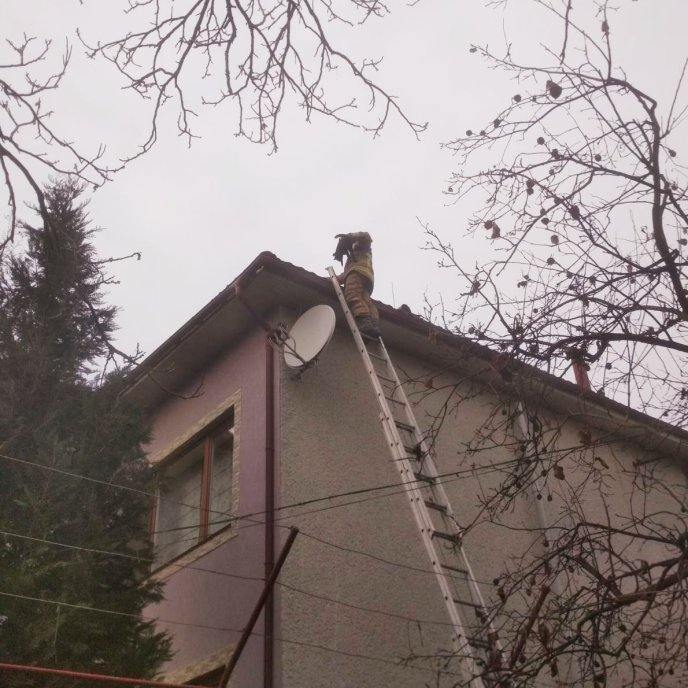 Як рятувальники коту допомагали – 03