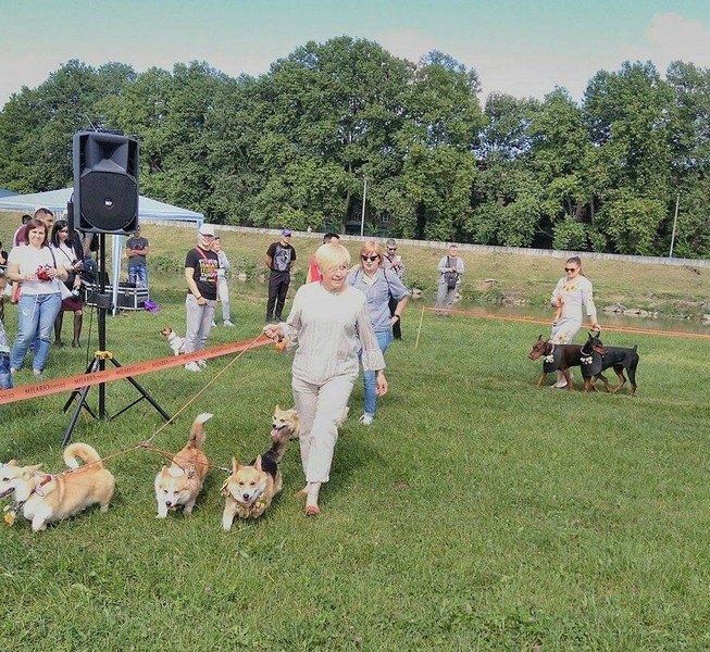 У Мукачеві відбувся "Парад собак" – 02