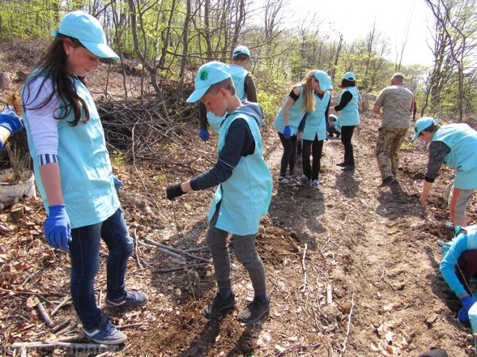 На місці вирубаного лісу у Мукачівському районі висадили цінні породи дерев – 01