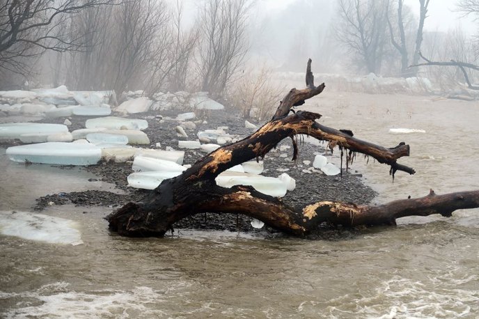 Наслідки "снігового паводку" на Закарпатті: фотограф показав, як виглядає річка Уж біля плотини у Невицькому – 03