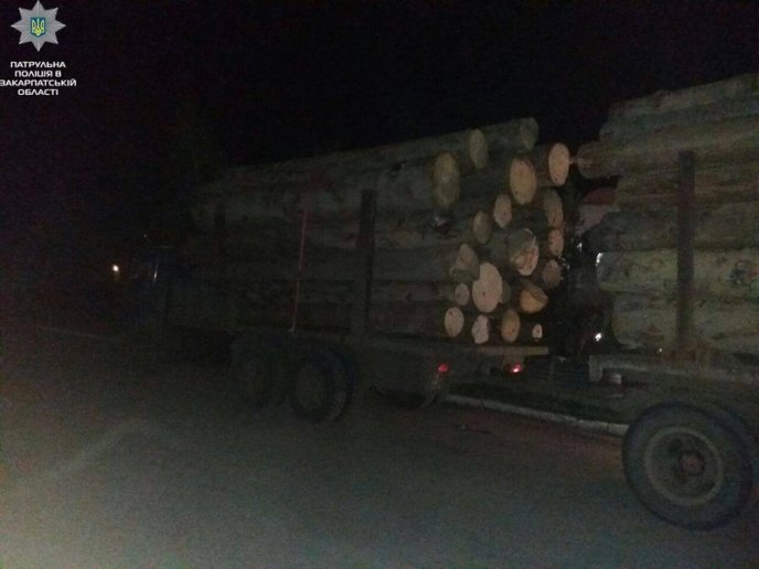 Документи на деревину, яку перевозила вантажівка, викликали сумніви у патрульних – 01 Документи на деревину, яку перевозила вантажівка, викликали сумніви у патрульних – 01