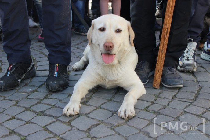 У Мукачеві урочисто відкрили чемпіонат світу зі слідової роботи службових собак – 51