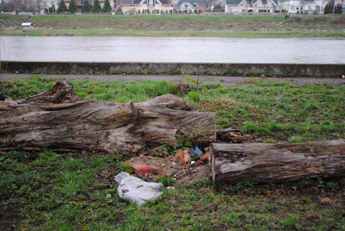 Толока в Мукачеві крізь об’єктив нашого кореспондента (ФОТОРЕПОРТАЖ) – 17