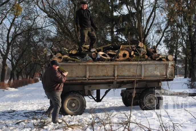 У Комсомольському парку Мукачева вирубують дерева (ФОТО) – 04