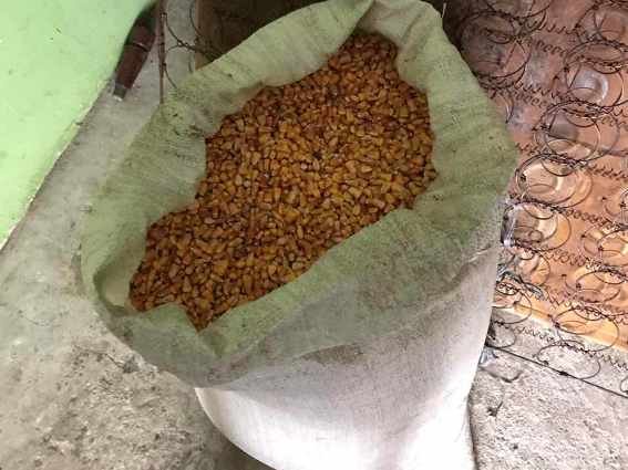 На Берегівщині чоловік вкрав у 80-річної пенсіонерки кукурудзу – 01