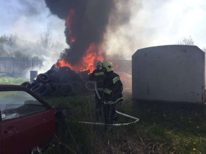 На Закарпатті поширили неправдиву інформацію: подробиці – 01