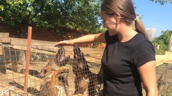 У Мукачеві відбудеться чемпіонат України серед кінологів – 07