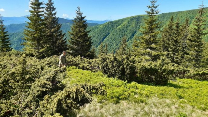 На Закарпатті продовжують шукати 29-річного чоловіка, який загадково зник – 03