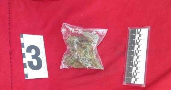 Правоохоронці затримали мешканця Рахівщини, у якого знайшли наркотики, гранату і нунчаки – 04