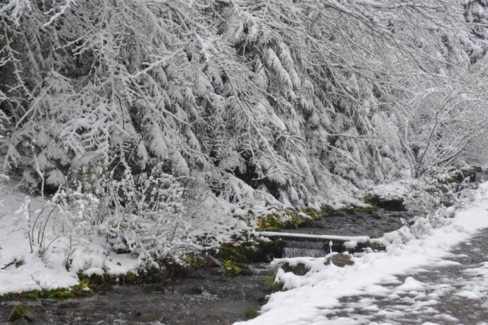 У Нацпарку "Синевир" випав сніг – 03