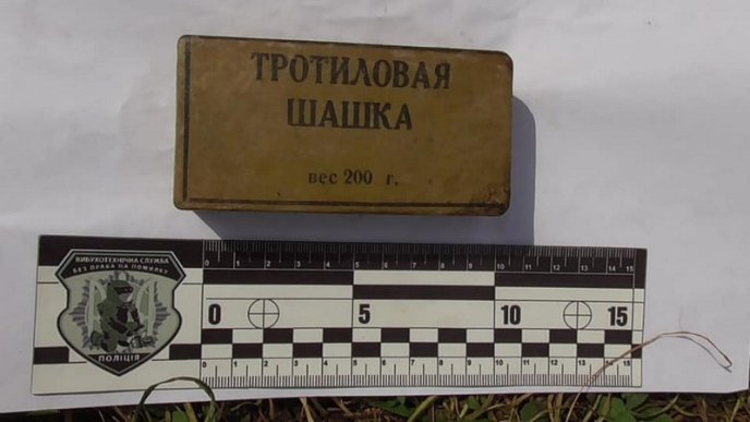 На Міжгірщині у чоловіка виявили цілий арсенал зброї  – 04