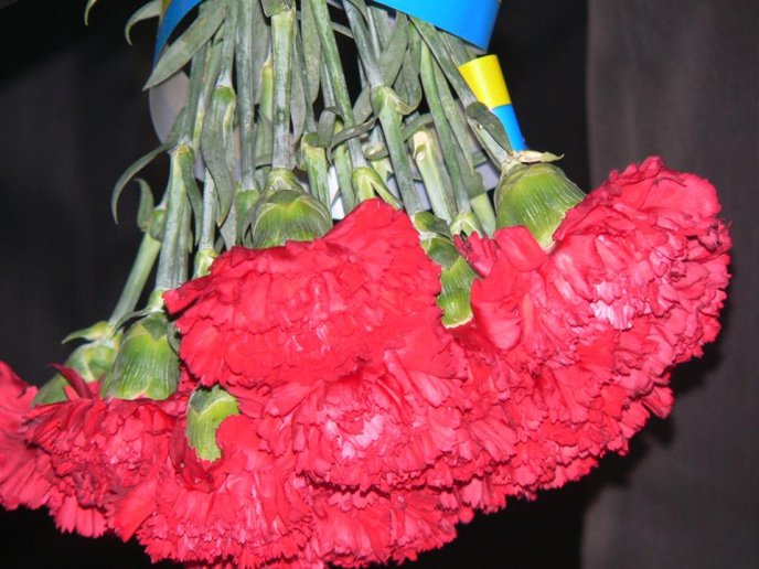 У Чинадіївській школі відкрили меморіальну дошку загиблому бійцю АТО Олександру Тербану – 06