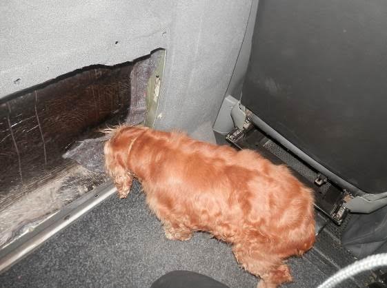 За 60 пачок цигарок закарпатські митники залишили українця без автомобіля – 01 За 60 пачок цигарок закарпатські митники залишили українця без автомобіля – 01