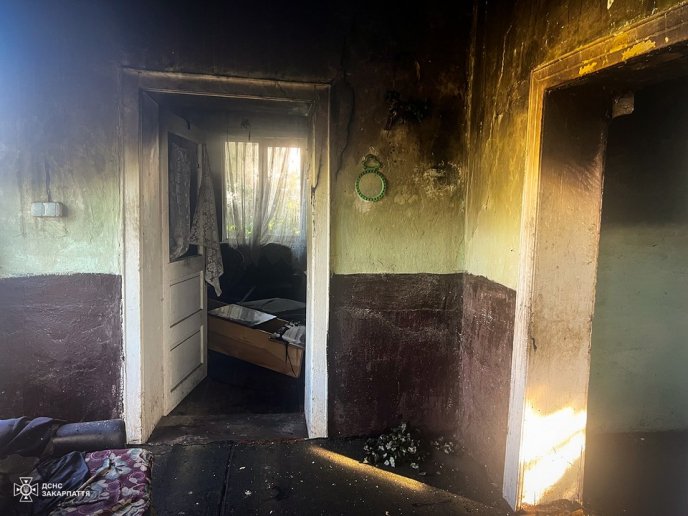 Сусіди забили на сполох: в одній із громад гасили пожежу – 01 Пожежа у селі Гребля