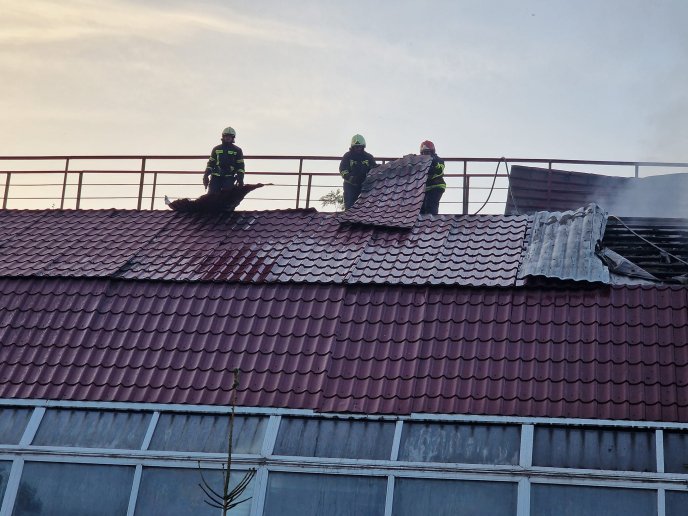 Пожежа на території санаторію в Мукачівському районі: рятувальники показали фото – 03