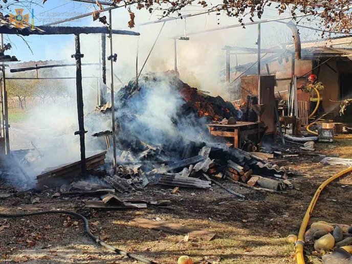 Під час пожежі на Ужгородщині рятували свиней і кролів – 02