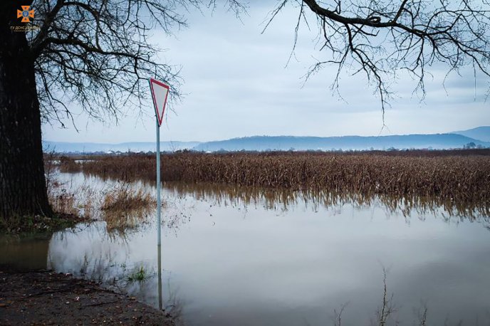 Через рясні дощі на Закарпатті підтопило поля, дороги і дворогосподарства – 02