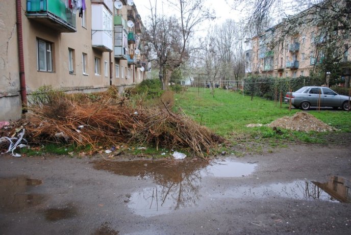 Толока в Мукачеві крізь об’єктив нашого кореспондента (ФОТОРЕПОРТАЖ) – 25