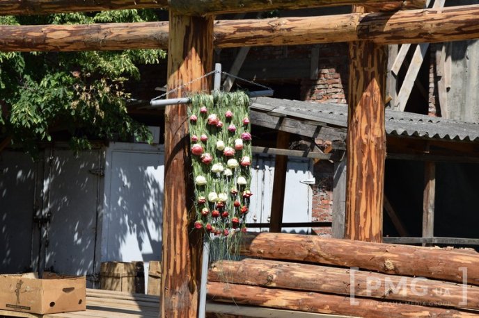 У Чинадієві стартував квітковий фестиваль "Кохання в Сент-Міклош" – 45