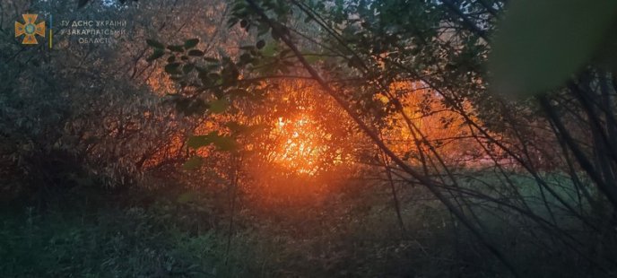 Понад 8 годин рятувальники гасили пожежу на Виноградівщині – 02