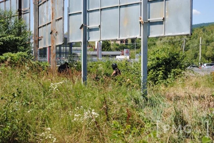 З’явились фото із місця перестрілки у Мукачеві – 03