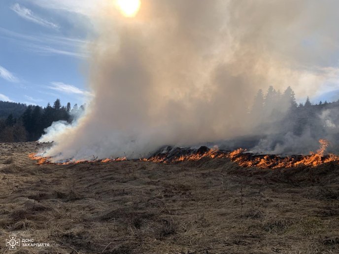 За добу на Закарпатті згоріло понад 78 гектарів землі – 01