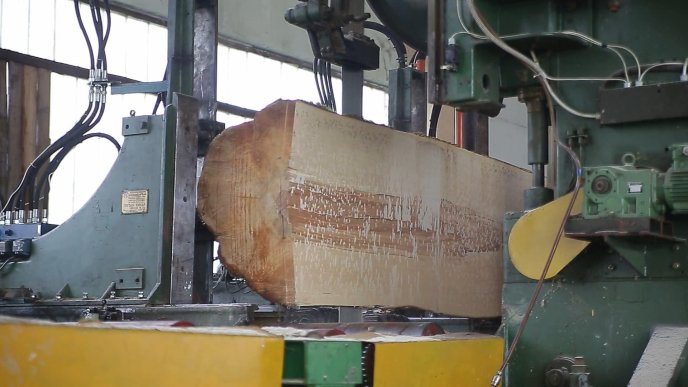 Міжнародне визнання закарпатської деревини – 06