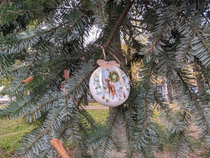 В області розпочали прикрашати ялинки: закарпатців просять долучитися до акції – 03