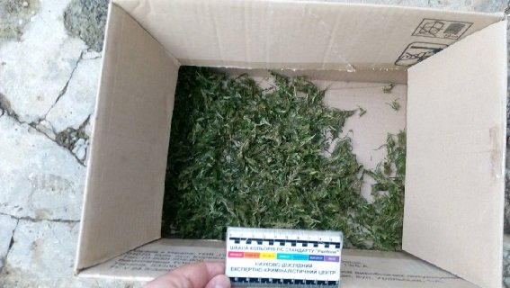 У небезпечного закарпатця знайшли пістолет, газовий балончик, балаклави, набої та наркотики – 05