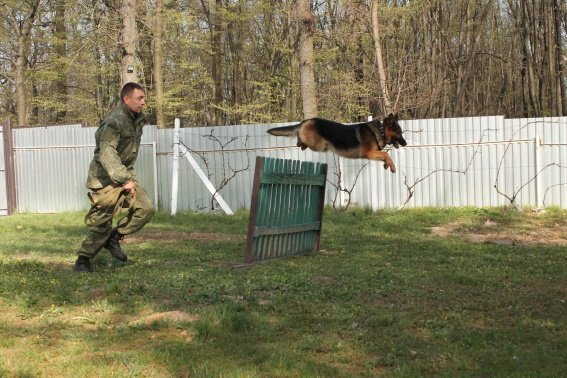 Вихованці Перечинської школи-інтернат відвідали кінологічний центр – 06