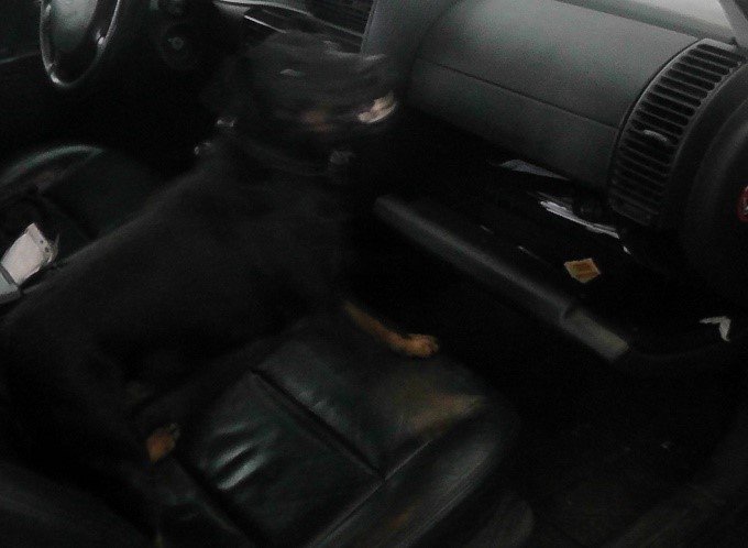 25-річний закарпатець намагався виїхати до Угорщини з пістолетом – 02