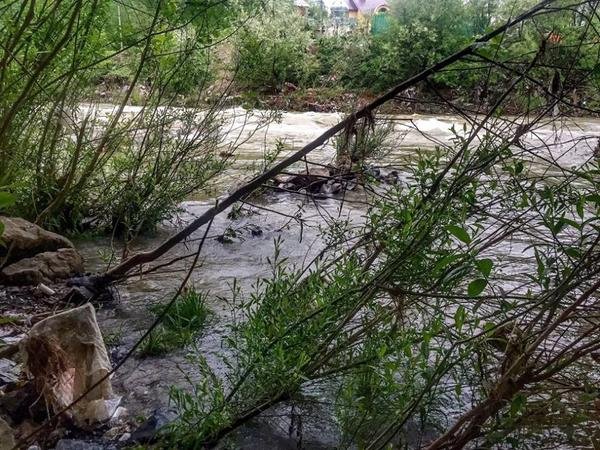 У річках Закарпаття піднявся рівень води – 04