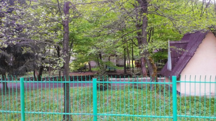 Ліквідація дитячої оздоровниці "Мрія" у Лісарні стараннями мукачівських депутатів: помилкове рішення чи необхідність? – 04