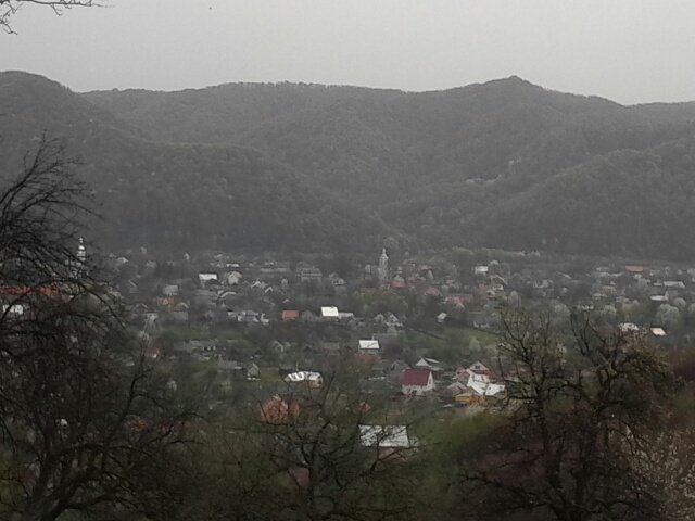 Жителька Хустщини Ганна Рошко відзначила свій 101-й день народження – 02 Жителька Хустщини Ганна Рошко відзначила свій 101-й день народження – 02