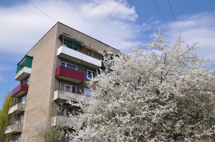 У Мукачеві зацвіли перші сакури та магнолії: місто в очікуванні туристів (ФОТО) – 02 У Мукачеві зацвіли перші сакури та магнолії: місто в очікуванні туристів (ФОТО) – 02