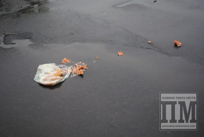 Деталі смертельної ДТП біля Мукачівського аграрного коледжу (ФОТО) – 02