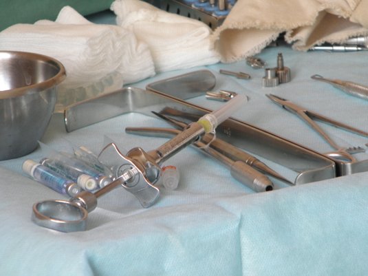 Пенсіонерам Ужгороду вставили безкоштовні імплантанти (ФОТО) – 02