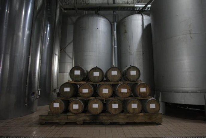 Під час візиту на Берегівщину губернатор Закарпаття пообіцяв захистити виноробів і пивоварів – 02