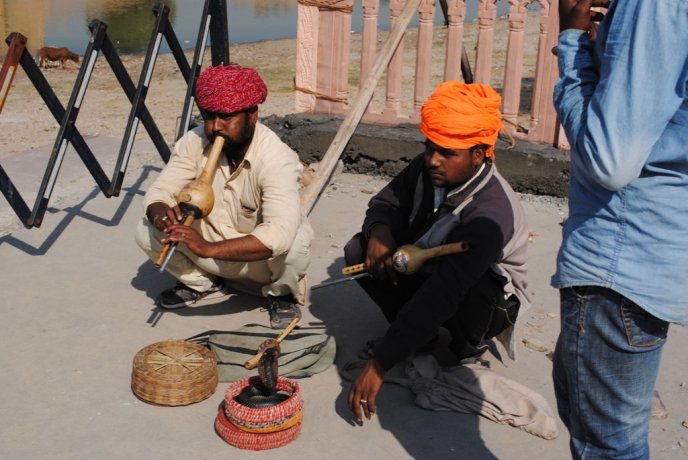 Золотий трикутник. Джайпур – 03