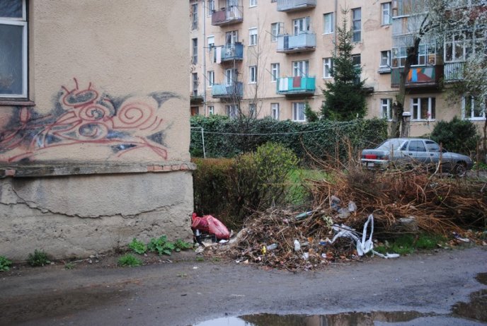 Толока в Мукачеві крізь об’єктив нашого кореспондента (ФОТОРЕПОРТАЖ) – 23