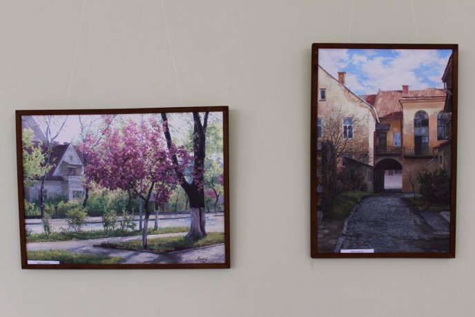 В обласному центрі показали "найправдивіший" пейзаж Ужгорода  – 06