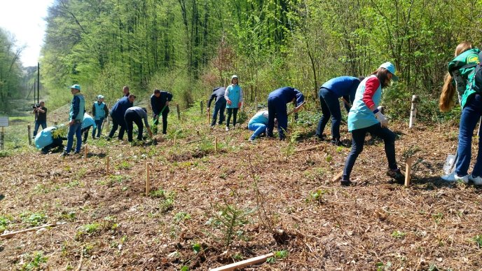 Москаль примусив чиновників узяти в руки сапки й саджати дерева – 04 Москаль примусив чиновників узяти в руки сапки й саджати дерева – 04