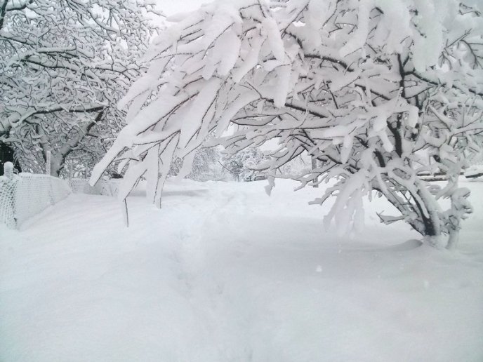 Казкова зима у селі Брестів на Мукачівщині: неймовірні фото – 09