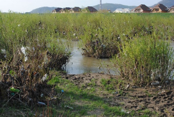 Толока в Мукачеві крізь об’єктив нашого кореспондента (ФОТОРЕПОРТАЖ) – 19