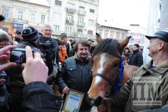 Переможцем цьогорічного фестивалю "Червене вино - 2013" став Василь Лендьєл з міста Мукачева (ФОТО) – 19 Переможцем цьогорічного фестивалю "Червене вино - 2013" став Василь Лендьєл з міста Мукачева (ФОТО) – 19