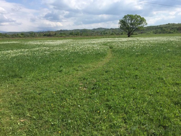 На Хустщині триває ремонт дороги, яка веде до Долини нарцисів – 05