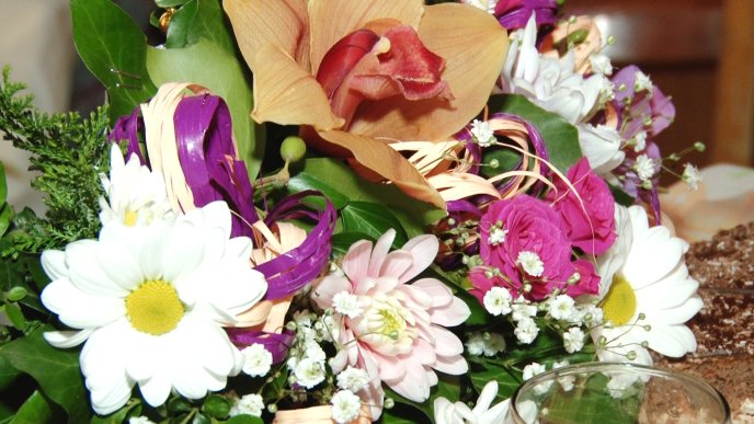 Найстаріша жителька Берегівщини Гізела Сейчі відсвяткувала 103-й день народження – 03